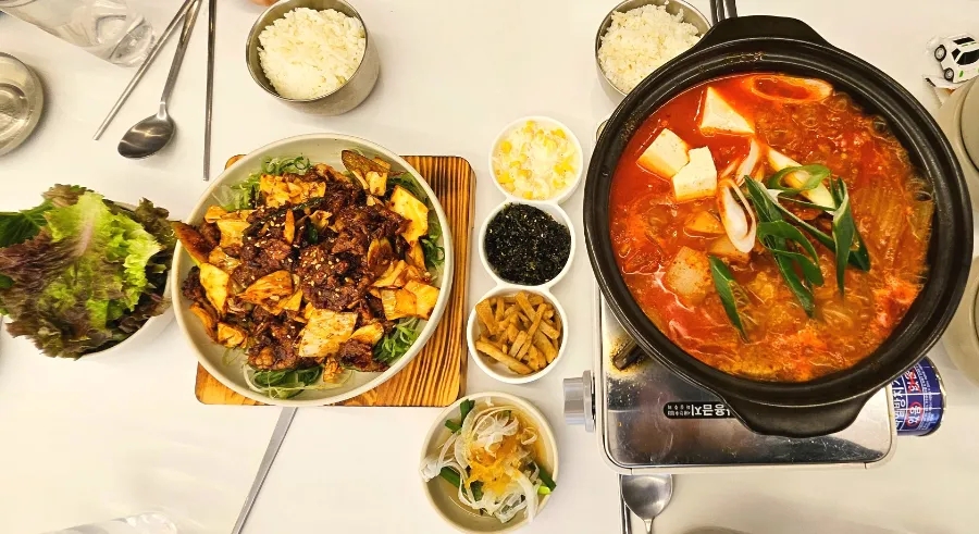 고니시스템 이미지