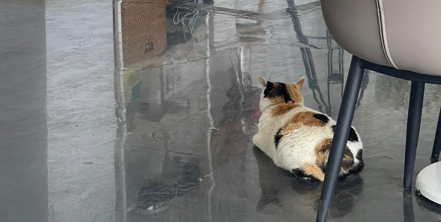 산들채 이미지