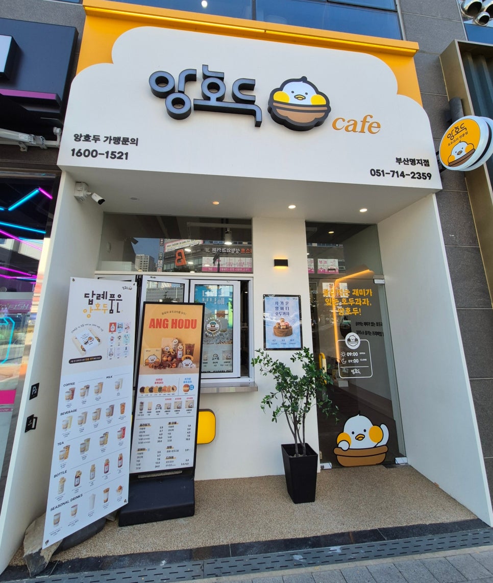 앙호두 부산명지국제신도시점 이미지