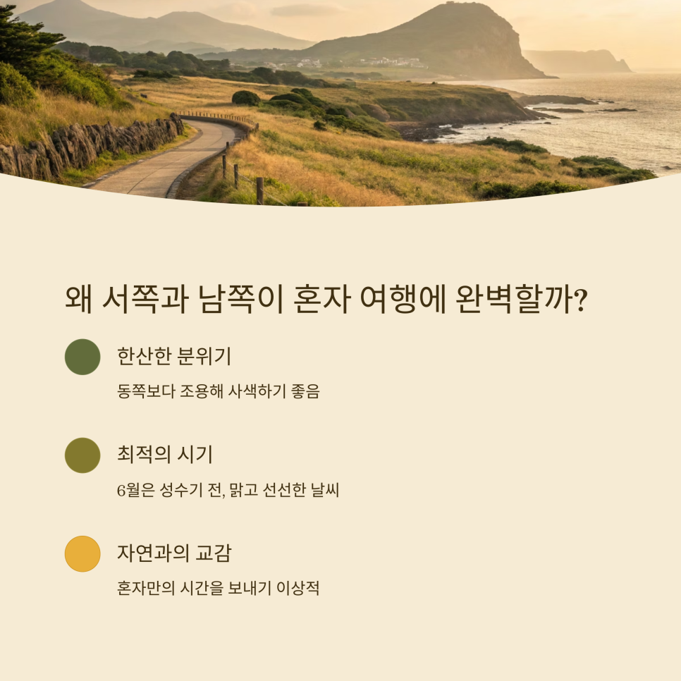 제주서쪽 이미지