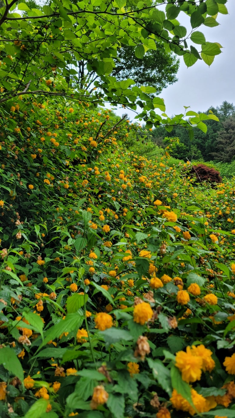소백산국립공원 삼가탐방지원센터 이미지