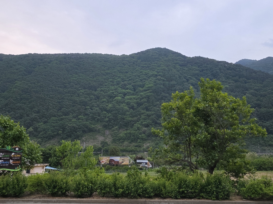 단양추억펜션 이미지