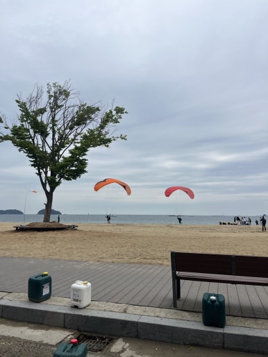 총총 이미지