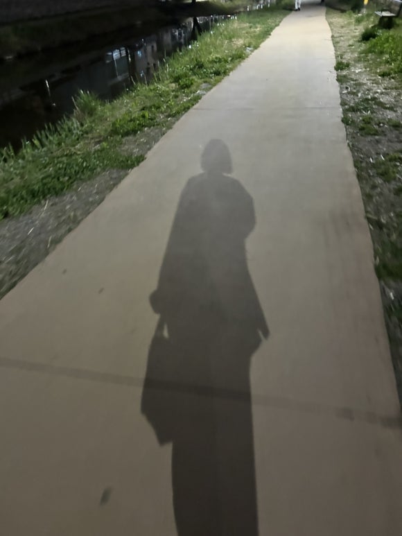 카페홉 이미지