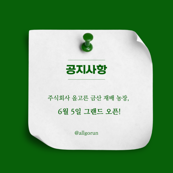 농업회사법인 주식회사 담은 이미지