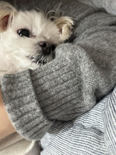 띵동 이미지