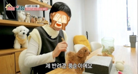 콩순이네 이미지