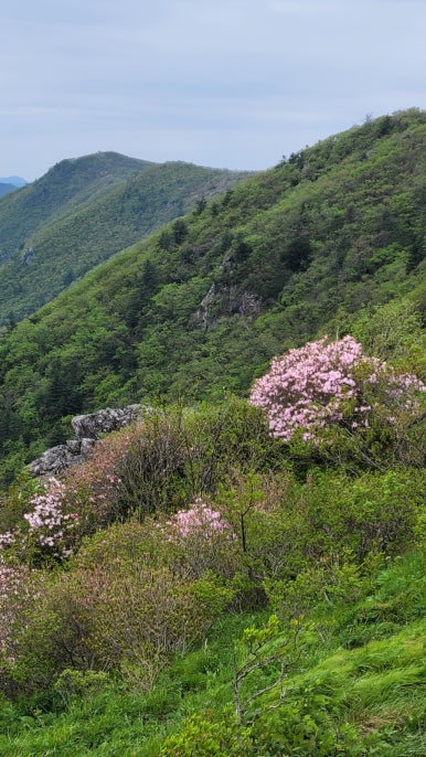 소백산국립공원 삼가탐방지원센터 이미지