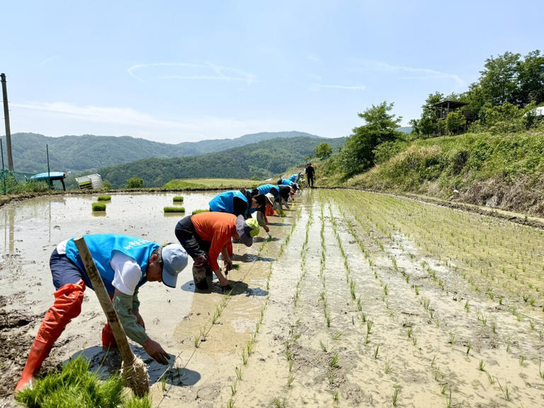경북인력공사 이미지