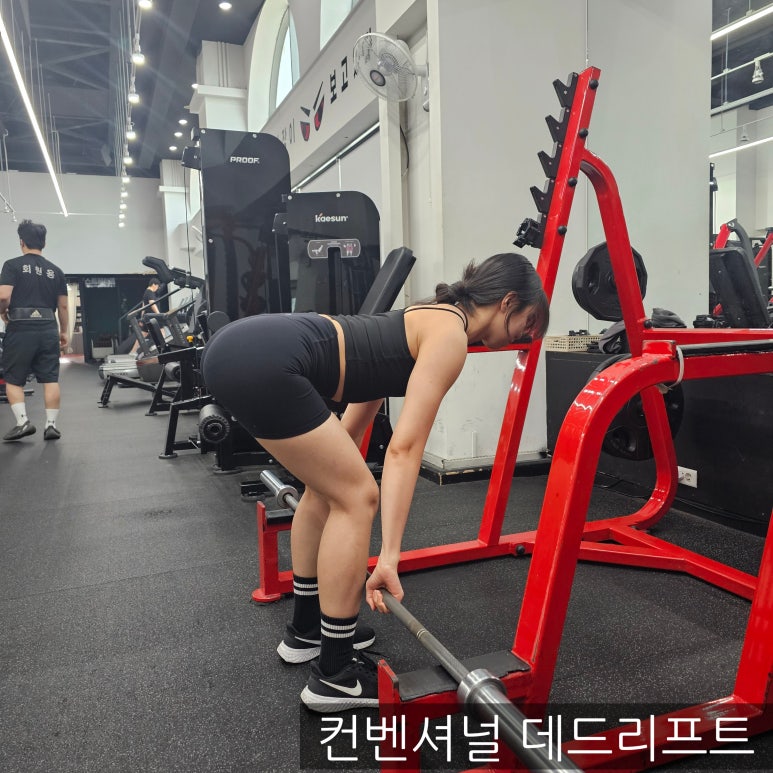 티와이짐 이미지