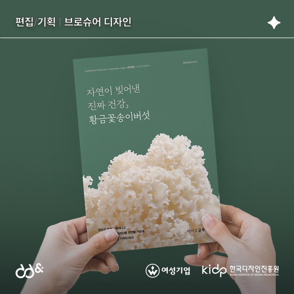 디앤디자인스튜디오 이미지