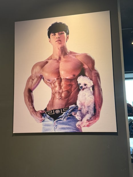 핏짐 이미지