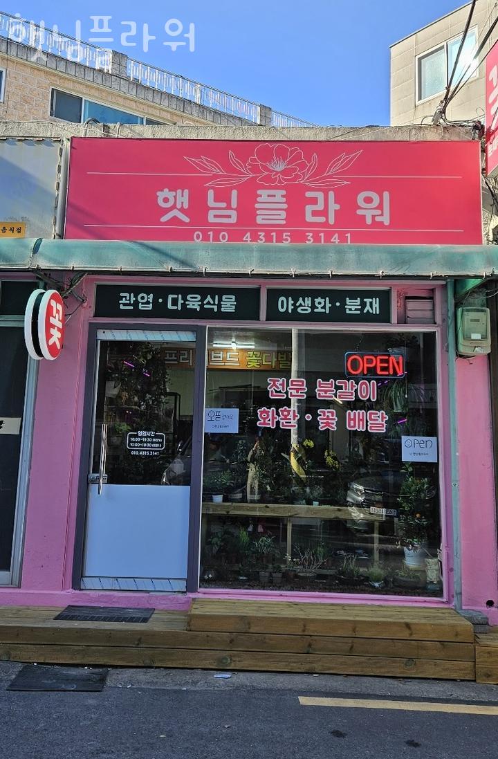 햇님플라워 이미지