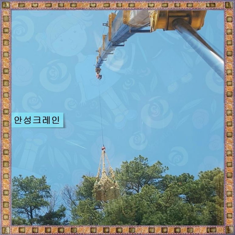 태산컨테이너 이미지