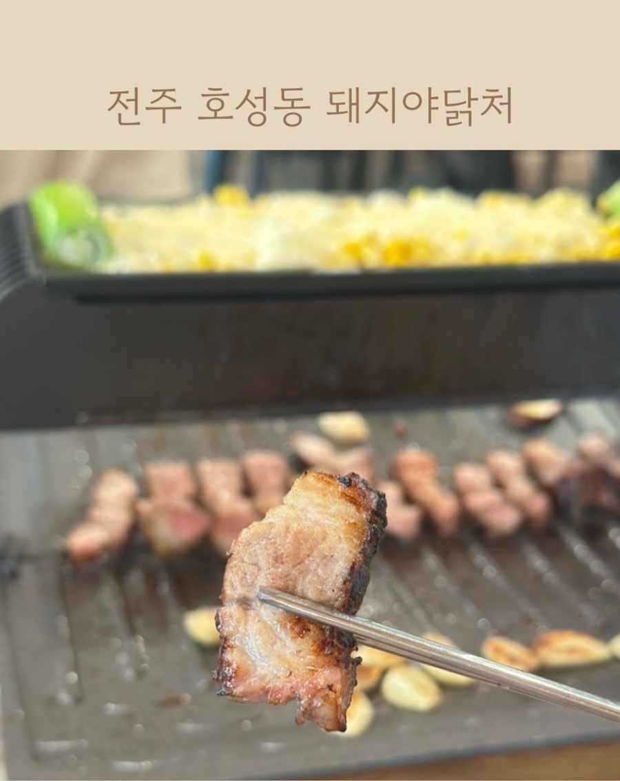 돼지야&닭 이미지