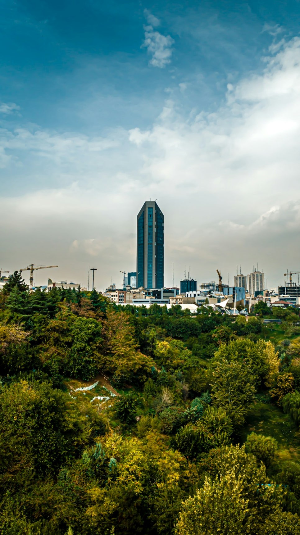 이 푸른농산물 이미지