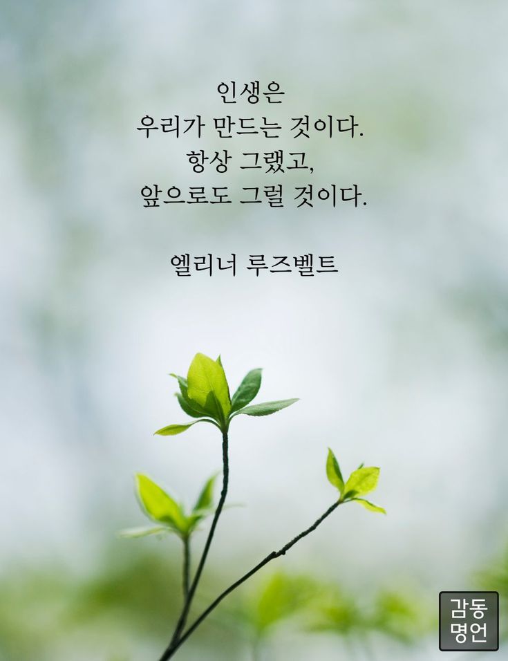 스텍 이미지