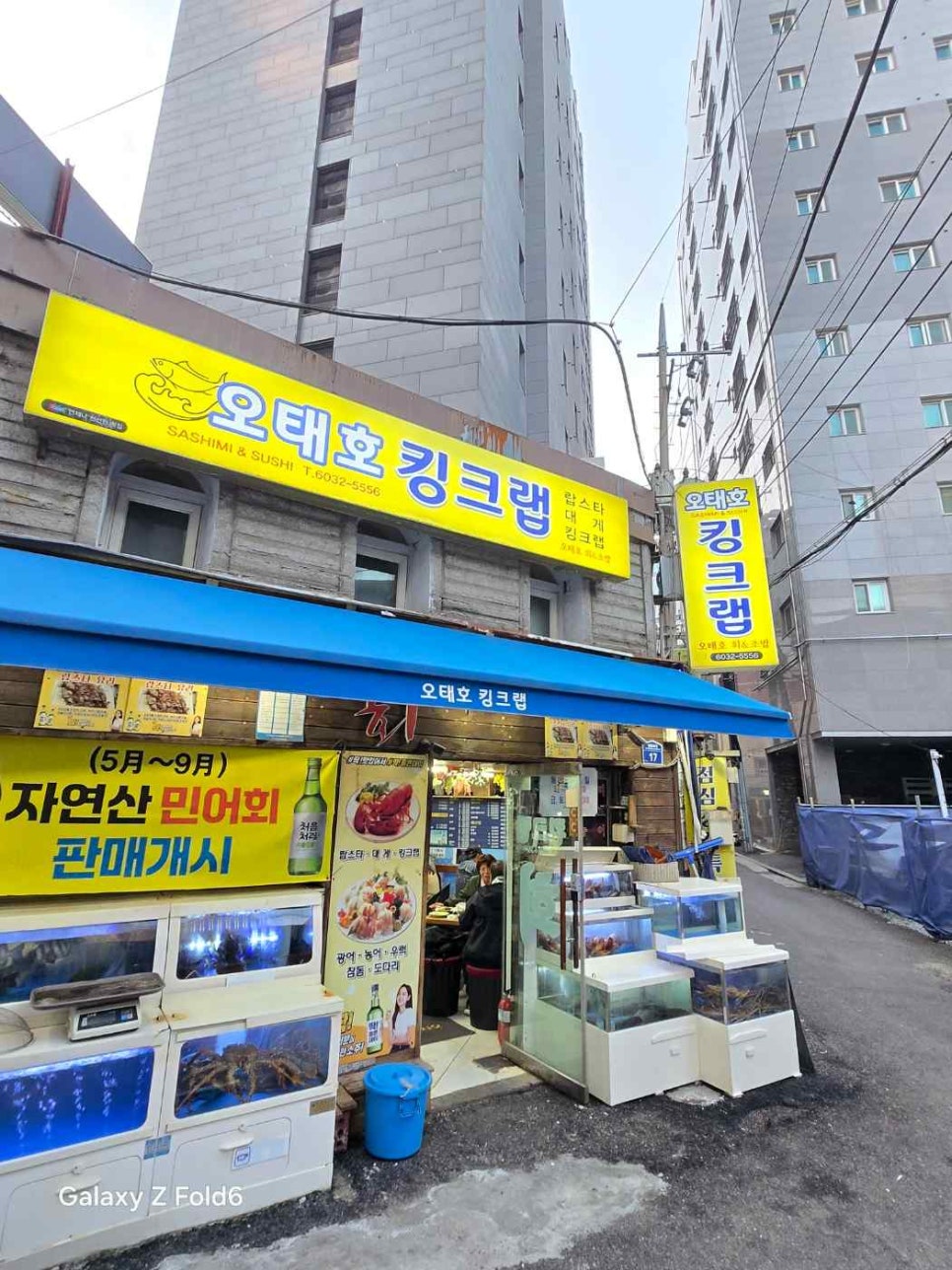 오태호킹크랩 이미지