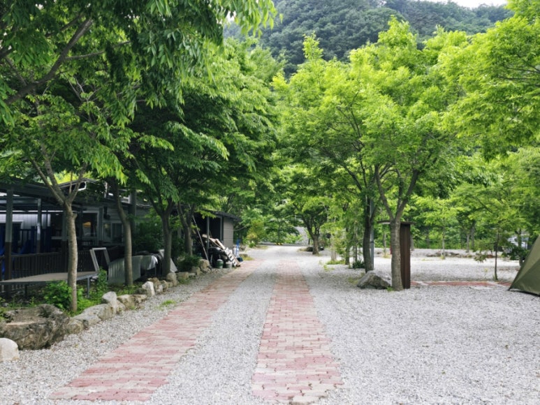 황토하우스 캠핑장 이미지