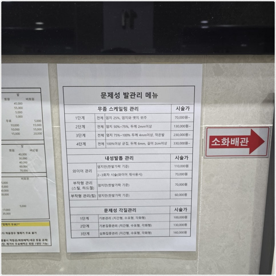 네일리브 이미지