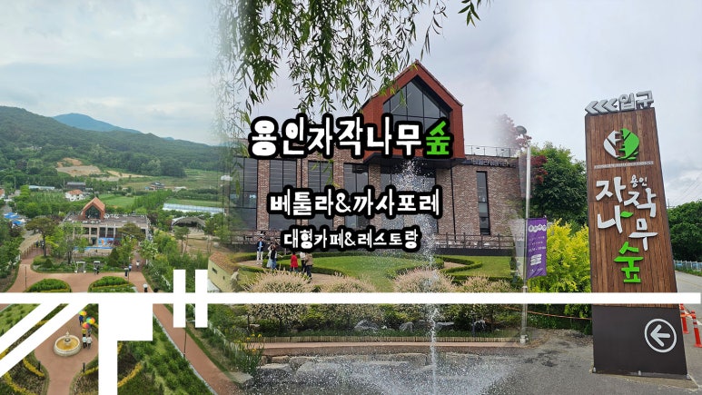 자작나무관광농원 이미지