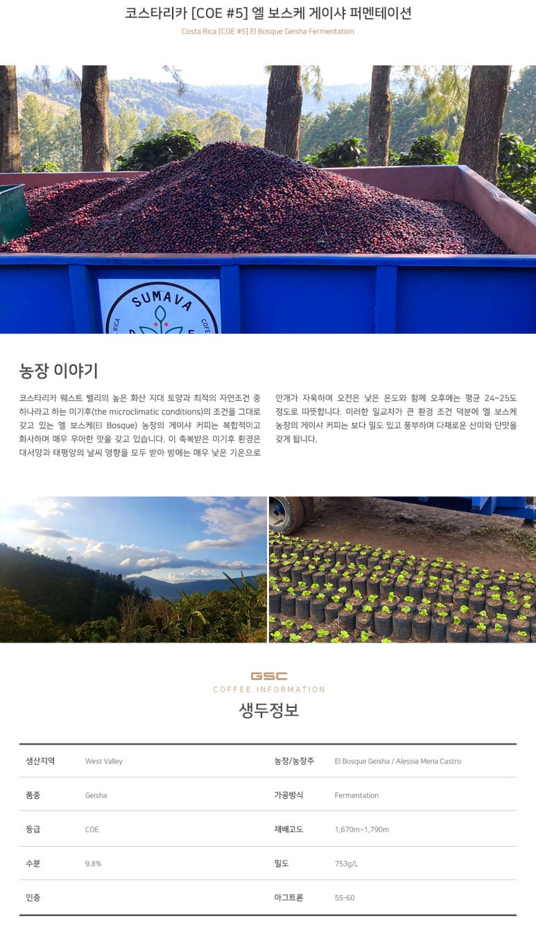 보스케 이미지