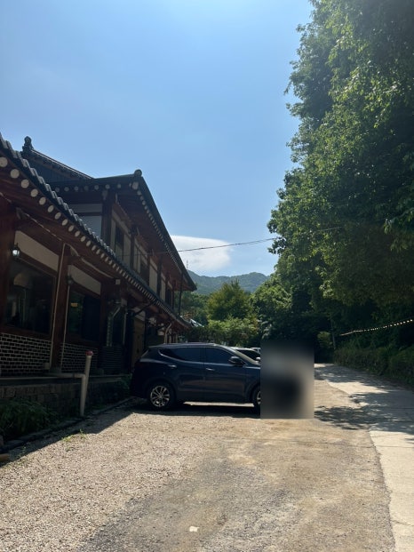 그리네 사바나 이미지