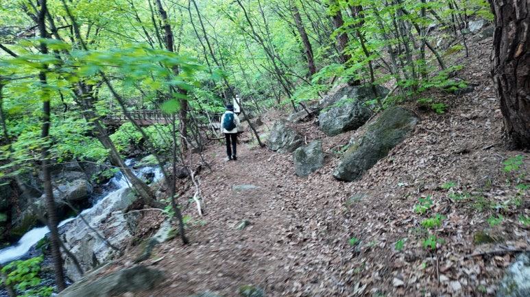 소백산국립공원 초암사코스 이미지