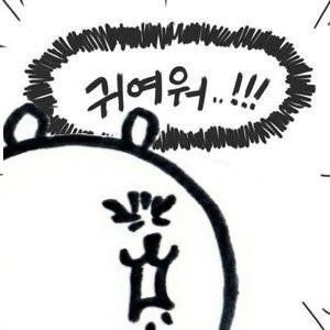콩뿌각 이미지
