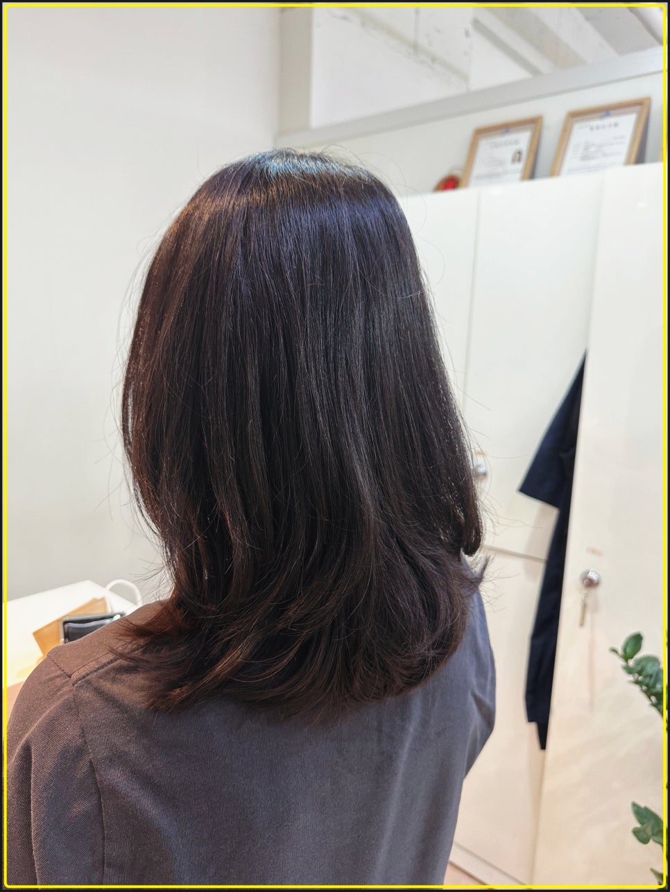 세종약품 이미지