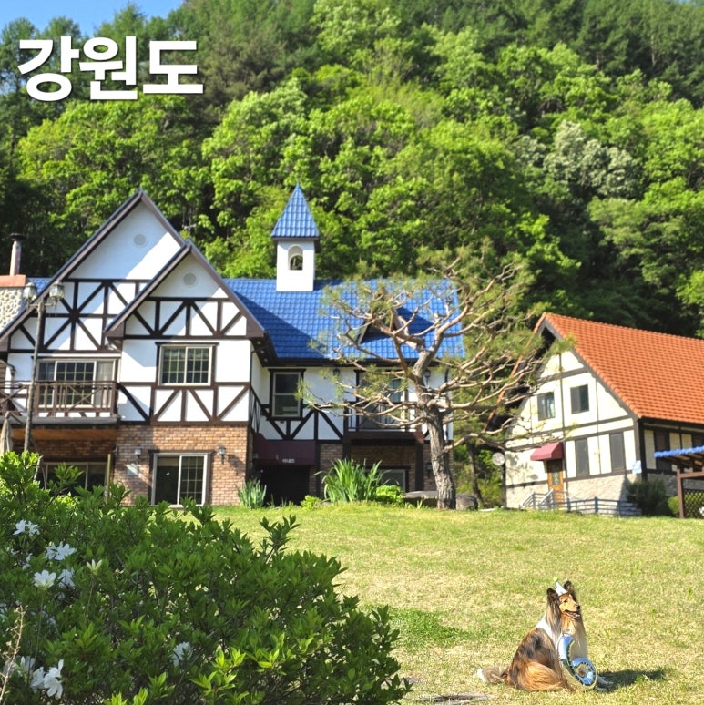 아내뜨 이미지