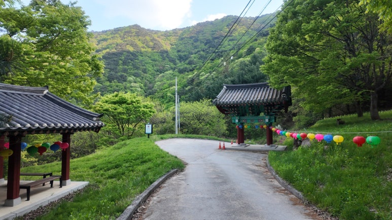 소백산국립공원 초암사코스 이미지