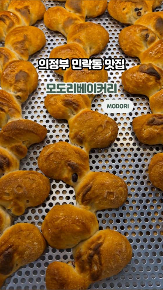 모도리 이미지
