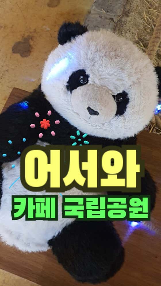 카페 국립공원 이미지