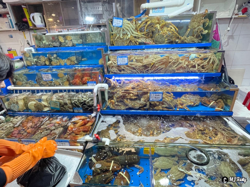 로또수산 이미지