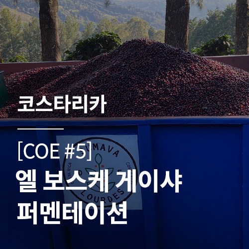 보스케 이미지