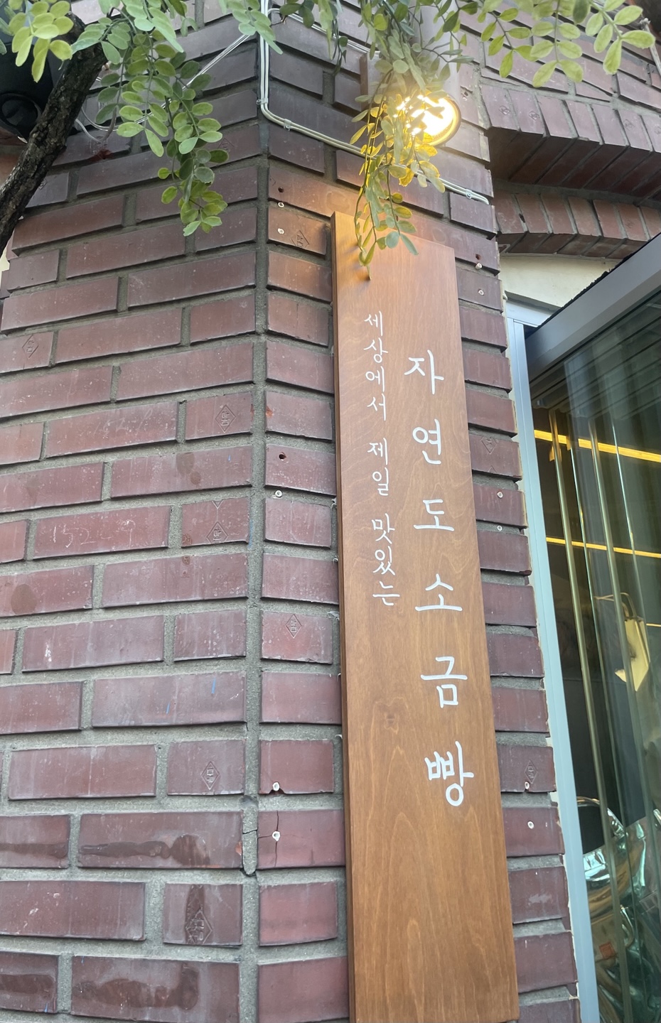 자연도소금빵in연남 이미지