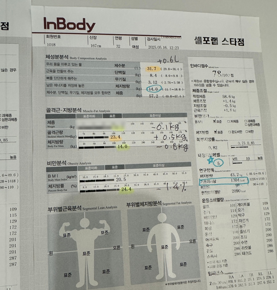 셀포랩스타 이미지