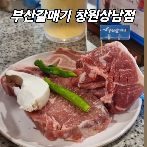 부산갈매기창원상남점 이미지