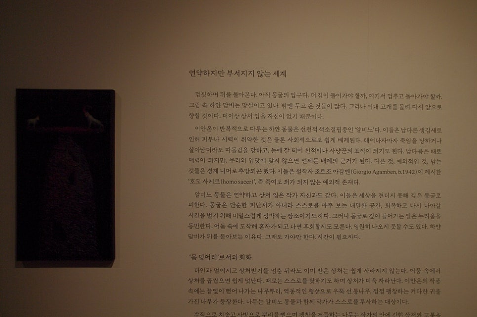 안온스페이스 이미지