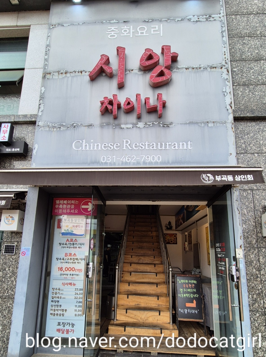시앙차이나 이미지