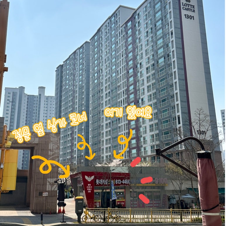코너613 이미지