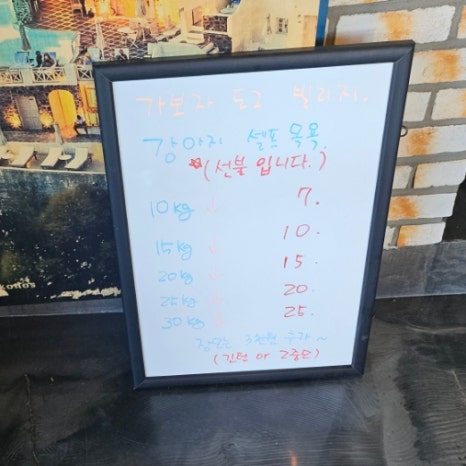 도그빌리지 이미지