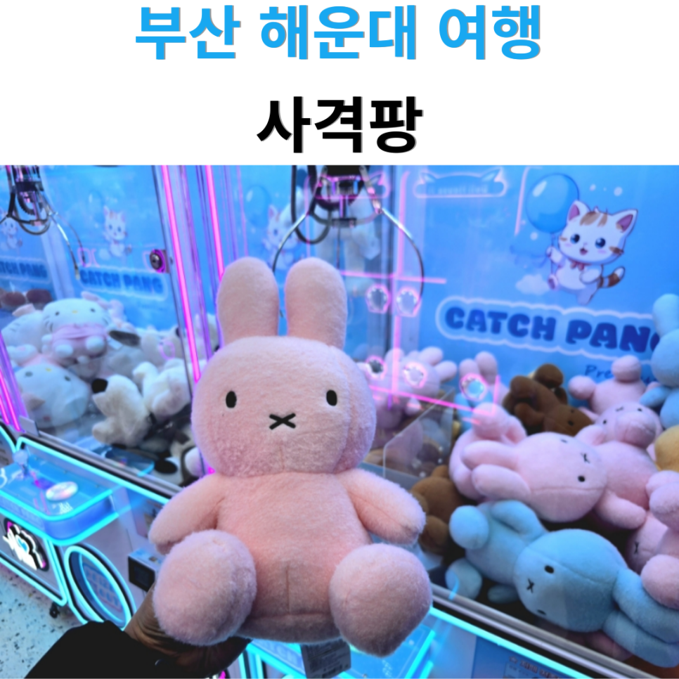 사격팡 이미지