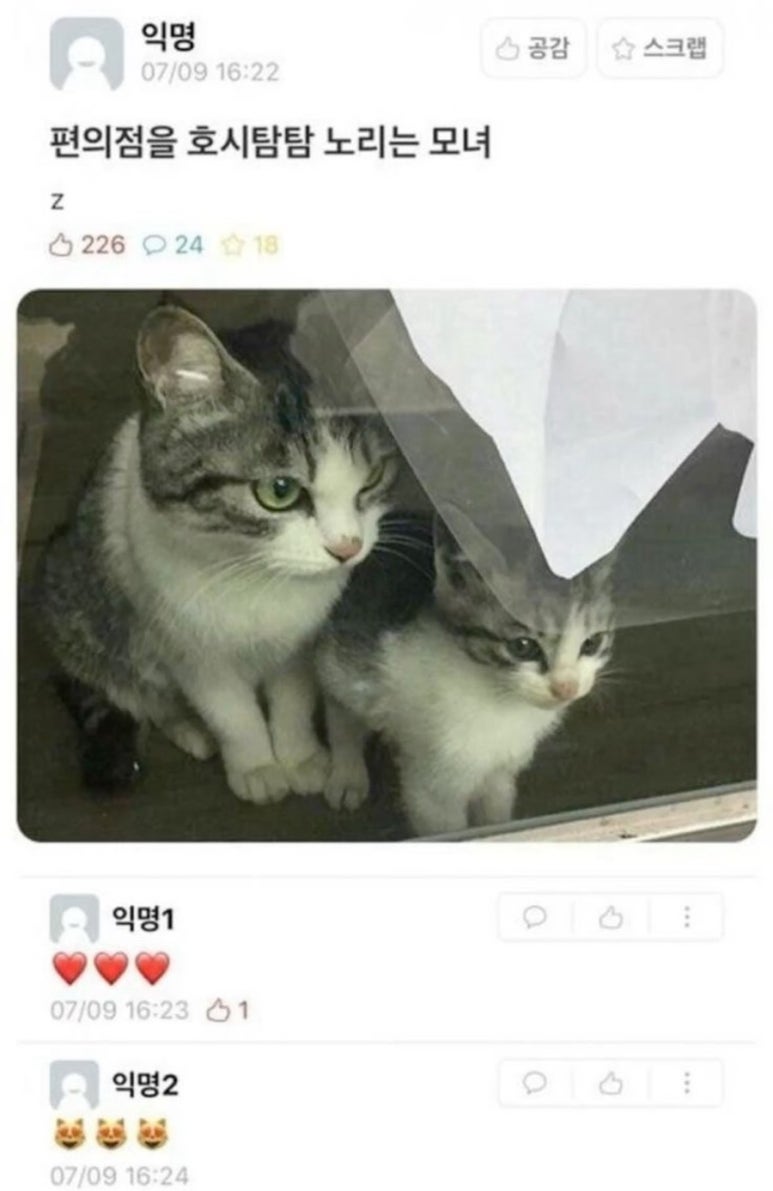 호시탐탐 이미지