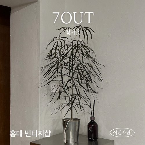 칠아웃7OUT 이미지
