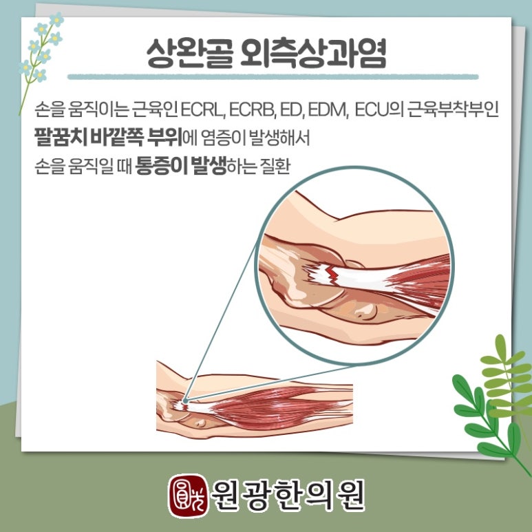 원광한의원 이미지
