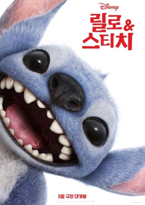 여주한글시장오일장 이미지