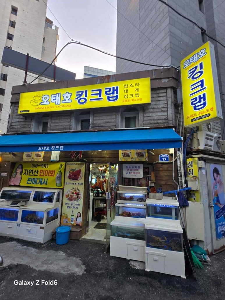 오태호킹크랩 이미지