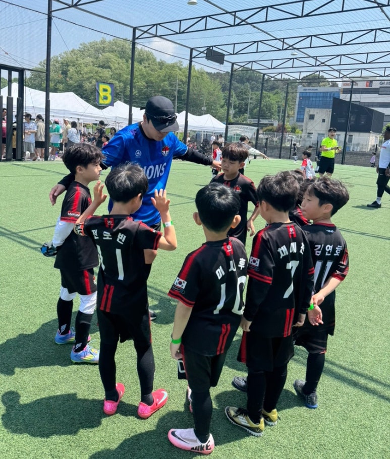 라이온즈스포츠클럽 이미지